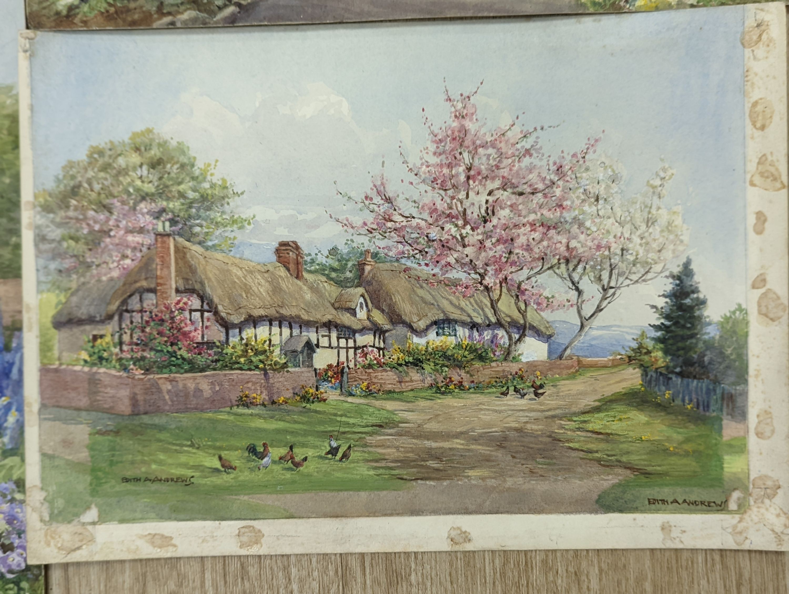Edith Alice Andrews (1900-1940), four watercolours; Late Summer, cottages and blossom, In A Sussex Garden & herbaceous borders, signed, largest 29 x 39cm.